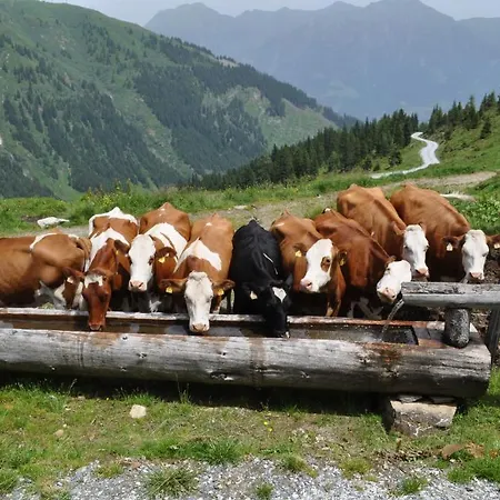Tofererhof Bad Hofgastein