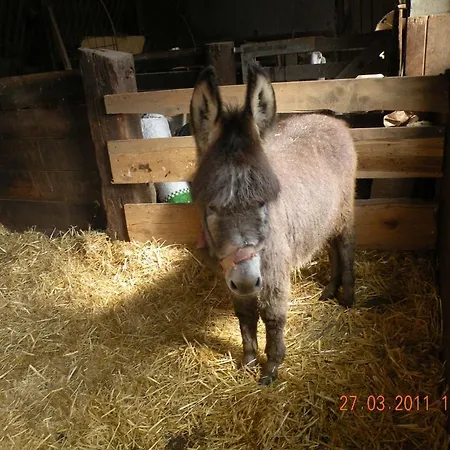 Pensjonat Tofererhof *