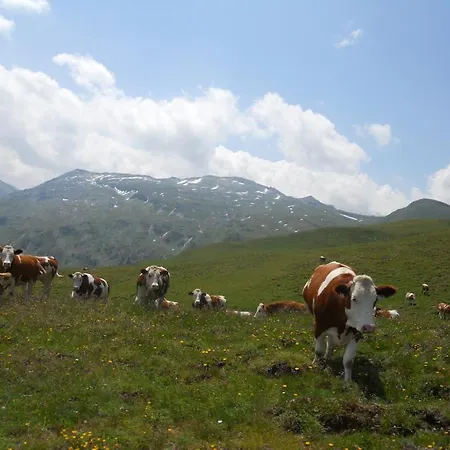 Tofererhof Pensjonat Bad Hofgastein